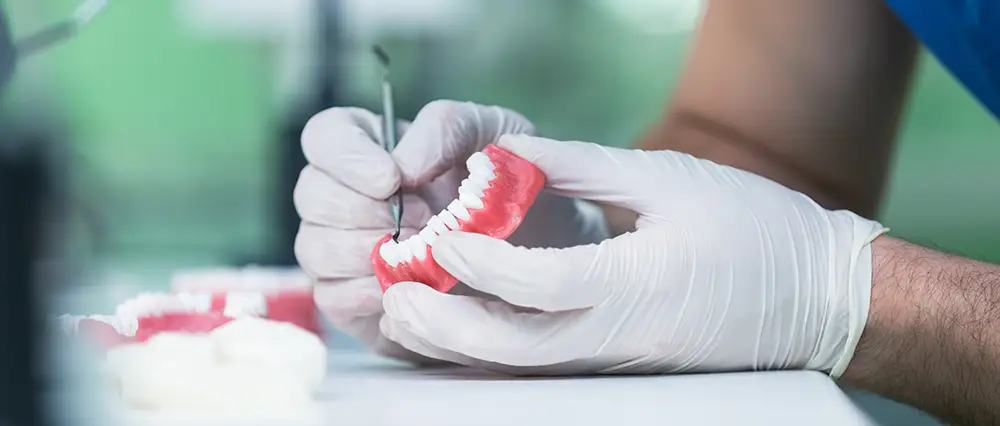 Dentist creating lower dentures