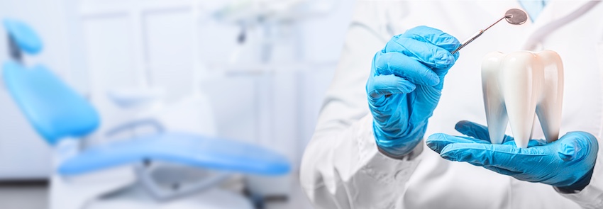 A dentist in blue gloves holds a large tooth model and a dental mirror tool in front of a blurred dental chair in a bright clinical office at The Foleck Center representing the professional tools and environment used to perform a thorough dental cleaning.
