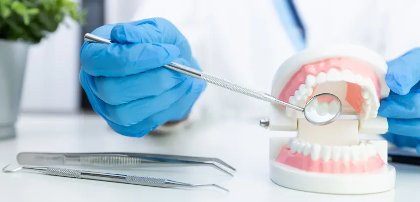 A gloved dentist uses a mirror tool to examine a dental jaw model on a white surface beside other instruments illustrating the routine dental procedures that can trigger dental phobia in anxious patients at The Foleck Center in Virginia.