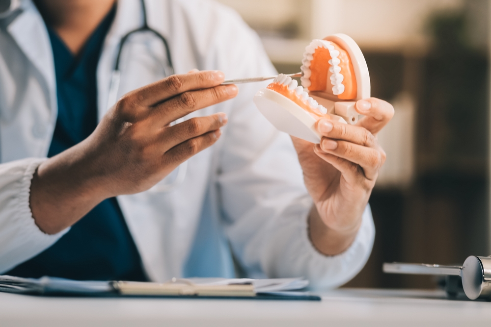 Dentist examining a denture model while explaining full-mouth reconstruction options in Norfolk 