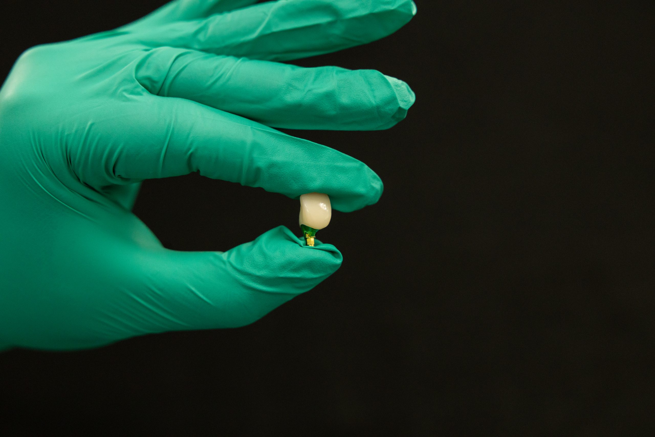 Implant Education Model, The Foleck Center Virginia Beach